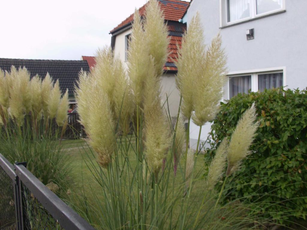 Villa Haus Frieda Koserow Camera foto